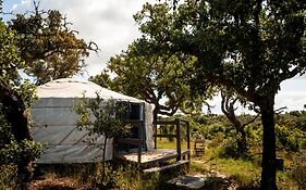 Eco Glamping Portugal Nature Lodge